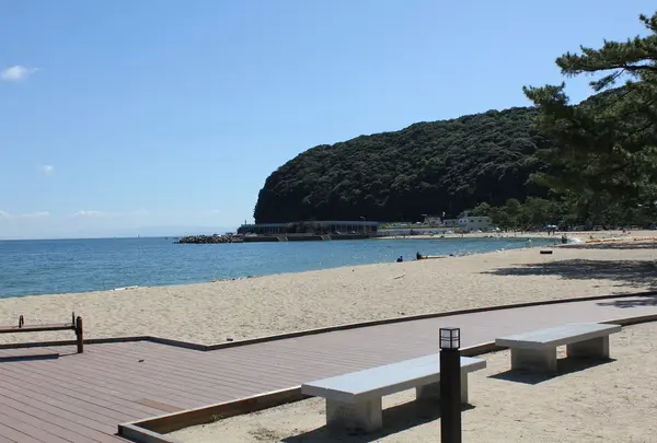 大浜海水浴場の写真・動画_image_141531