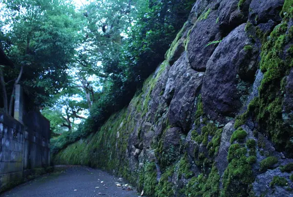 石垣のある細路地
