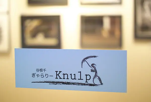 ぎゃらりーKnulp