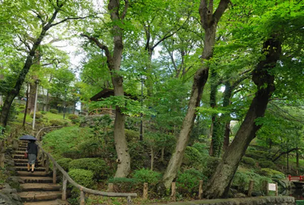 須藤公園
