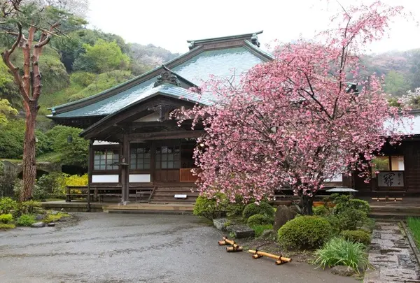 海蔵寺