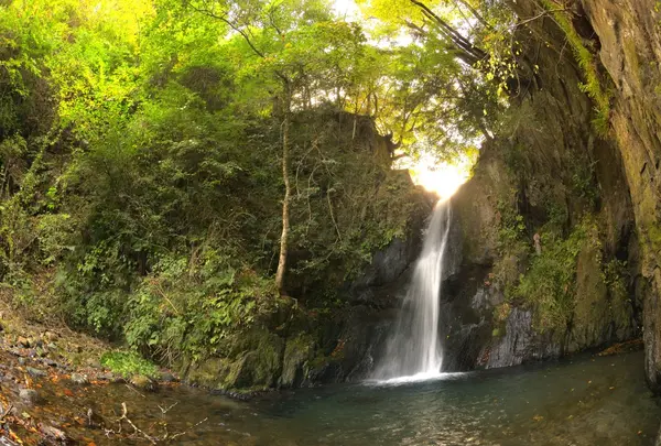阿寺沢の滝の写真・動画_image_157659