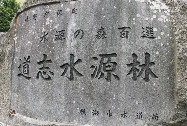 山伏峠 道志水源林