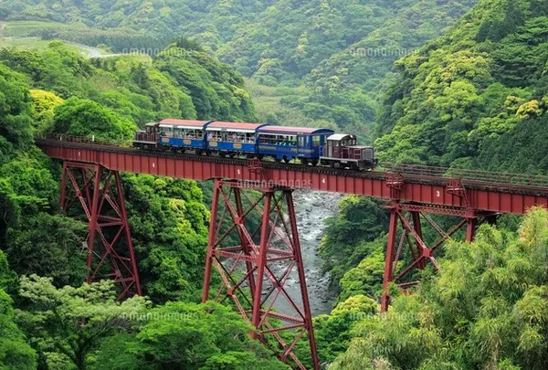 トロッコ列車ゆうすげ号の写真・動画_image_159796
