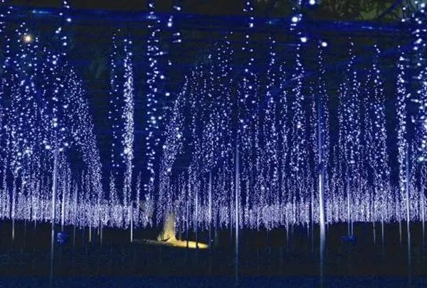 あしかがフラワーパーク