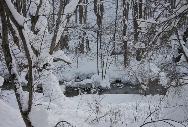 ６メートルの積雪！