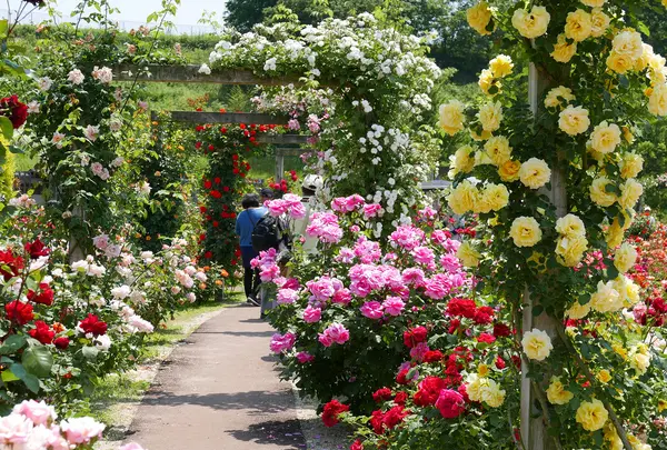 花フェスタ記念公園