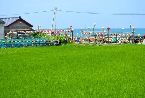 岩谷口