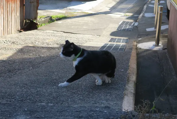 島内の集落を探検しよう