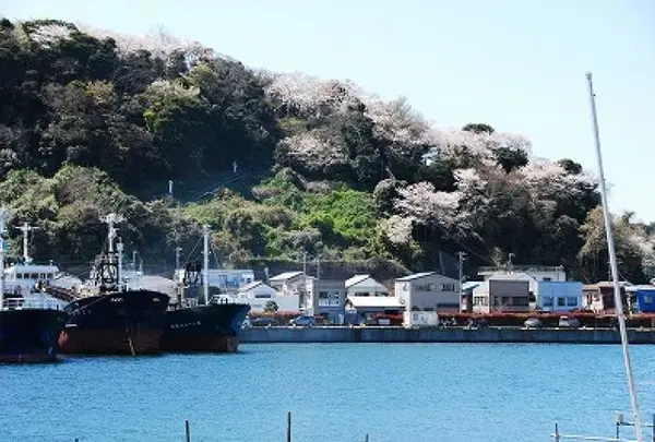 市内最古の公園、「愛宕山公園」を散策