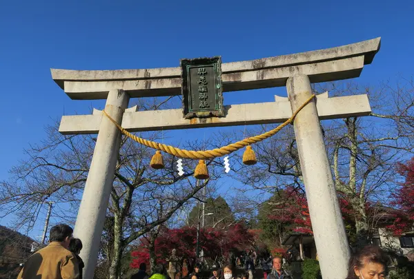 世代閣（戸岩寺収蔵庫）の写真・動画_image_204851