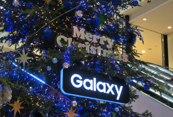 ラシックのクリスマスツリー