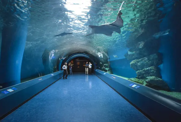 エプソンアクアパーク品川 (EPSON AQUA PARK SHINAGAWA)