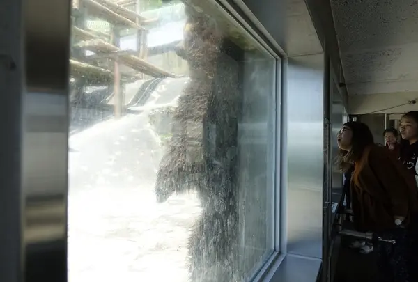 のぼりべつクマ牧場