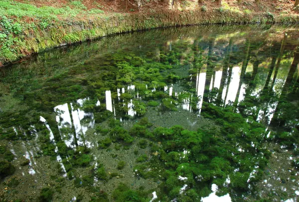 白川水源