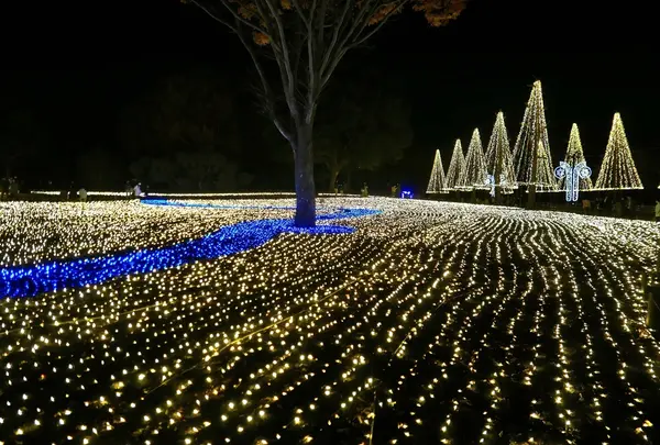 国営木曽三川公園・木曽三川公園センターの写真・動画_image_286614