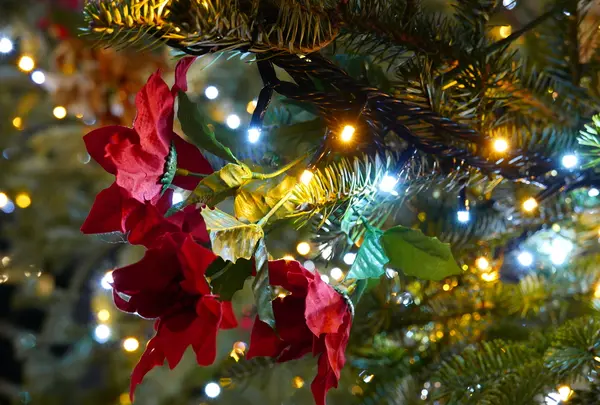 名古屋クリスマスマーケットの写真・動画_image_286676
