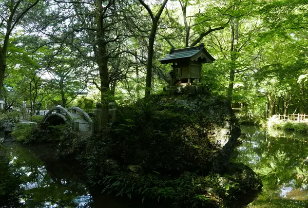 聖宝寺の写真・動画_image_317578