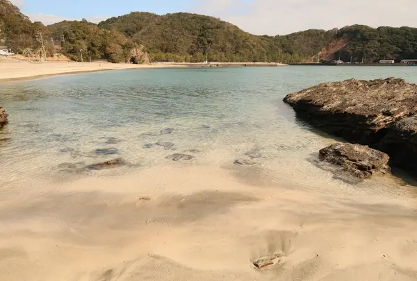 須美江海水浴場の写真・動画_image_875195