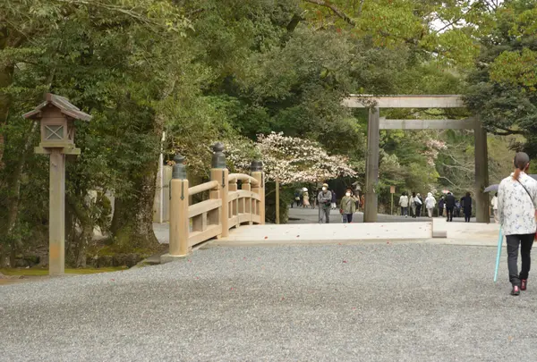 伊勢神宮内宮（皇大神宮）の写真・動画_image_922449