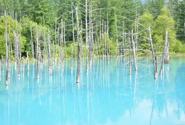 青い池