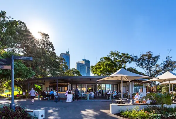 Terrace on the Domain