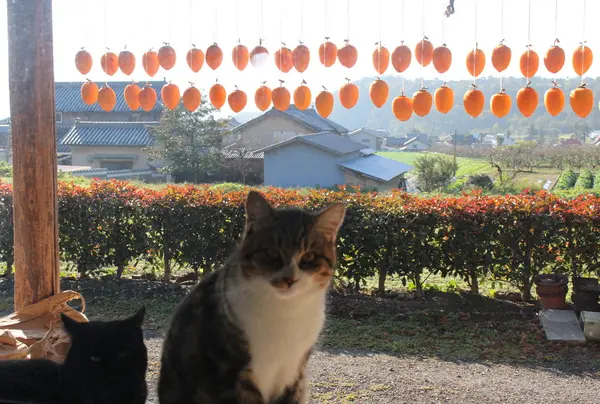 コンシェルジュ