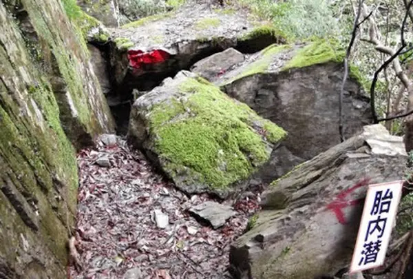 金胎寺の写真・動画_image_73926