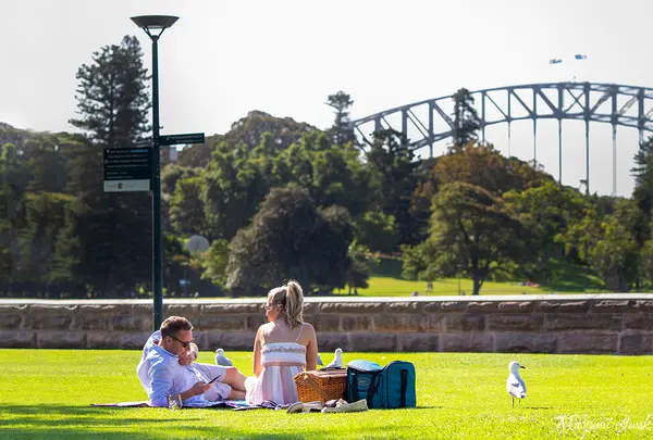 Royal Botanic Garden（王立植物園）の写真・動画_image_1030025