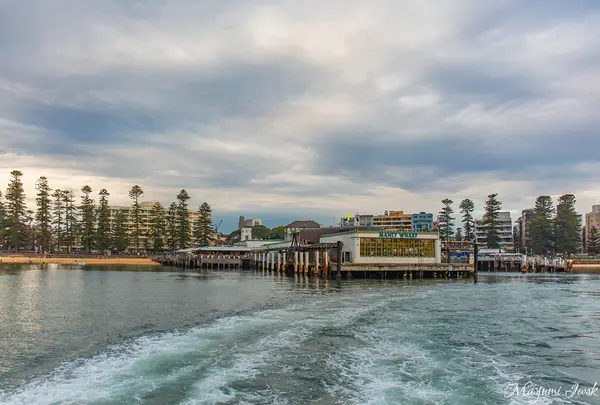 Manly Wharfの写真・動画_image_1035247