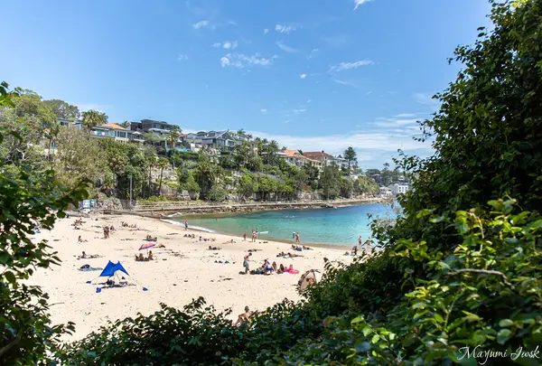 Shelly Beach