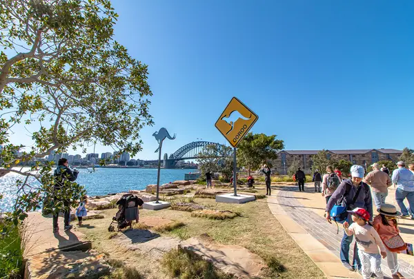 Barangaroo Reserve