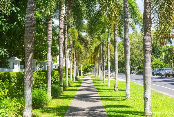 Port Douglas