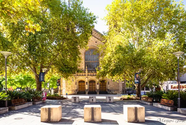 アデレード大学