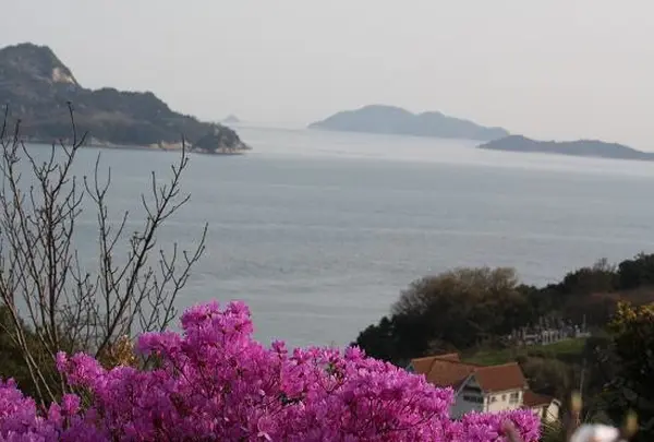高島