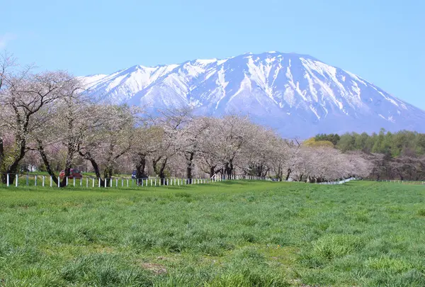 岩手山