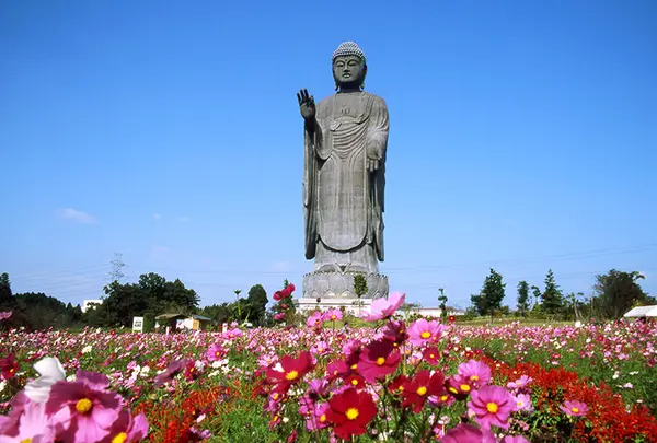 牛久大仏