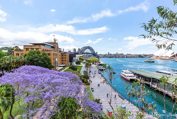 Cahill Expressway