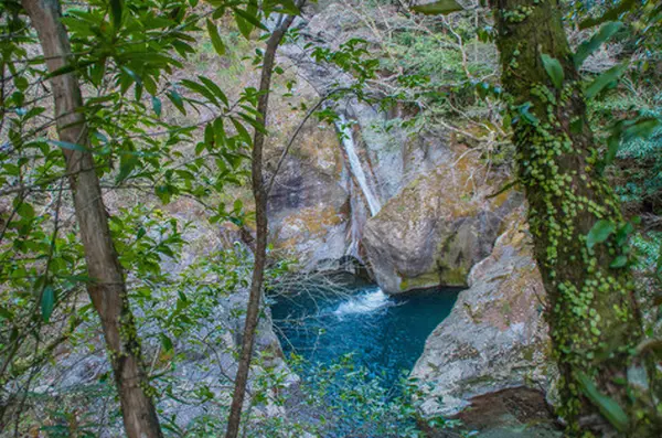 中津渓谷の写真・動画_image_114716