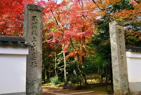 浄住寺