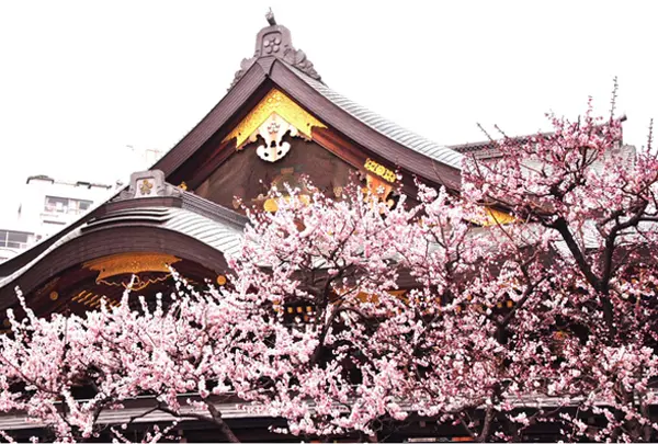 3月　湯島天満宮（湯島天神）梅