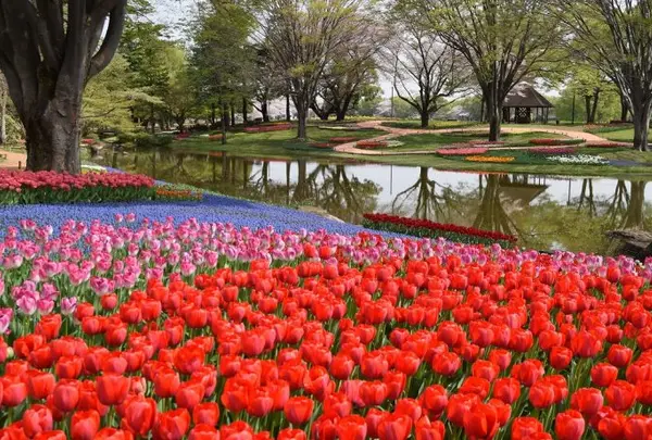 3月　国営昭和記念公園