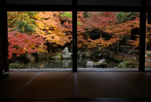 蓮華寺