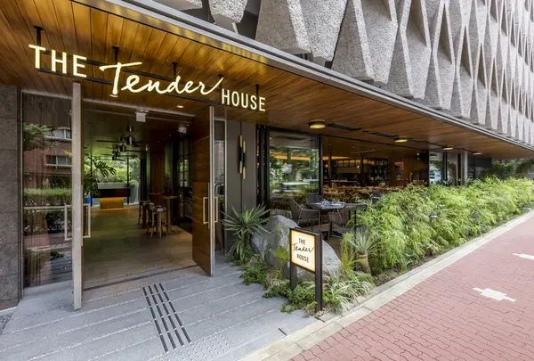 The Tender House