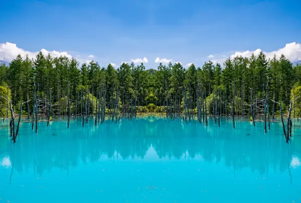 青い池