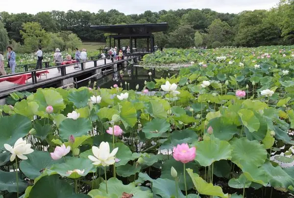 万博記念公園