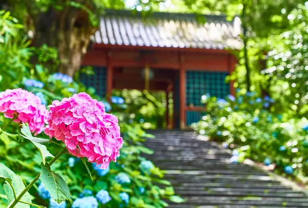 高崎清水寺