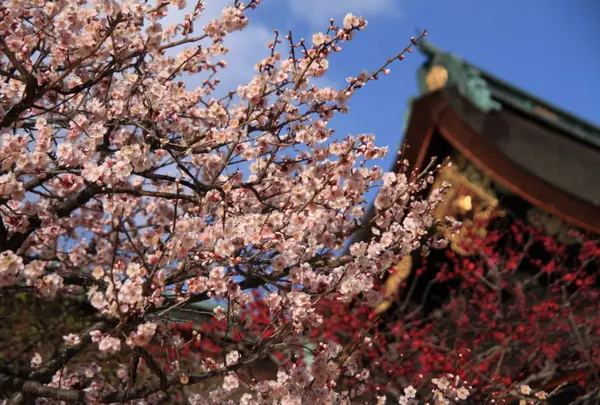 北野天満宮