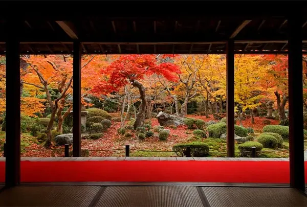 圓光寺