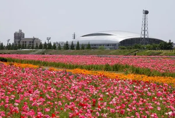馬入ふれあい公園